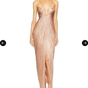 Maria Lucia Hohan Strapless Metallic Evening Dress